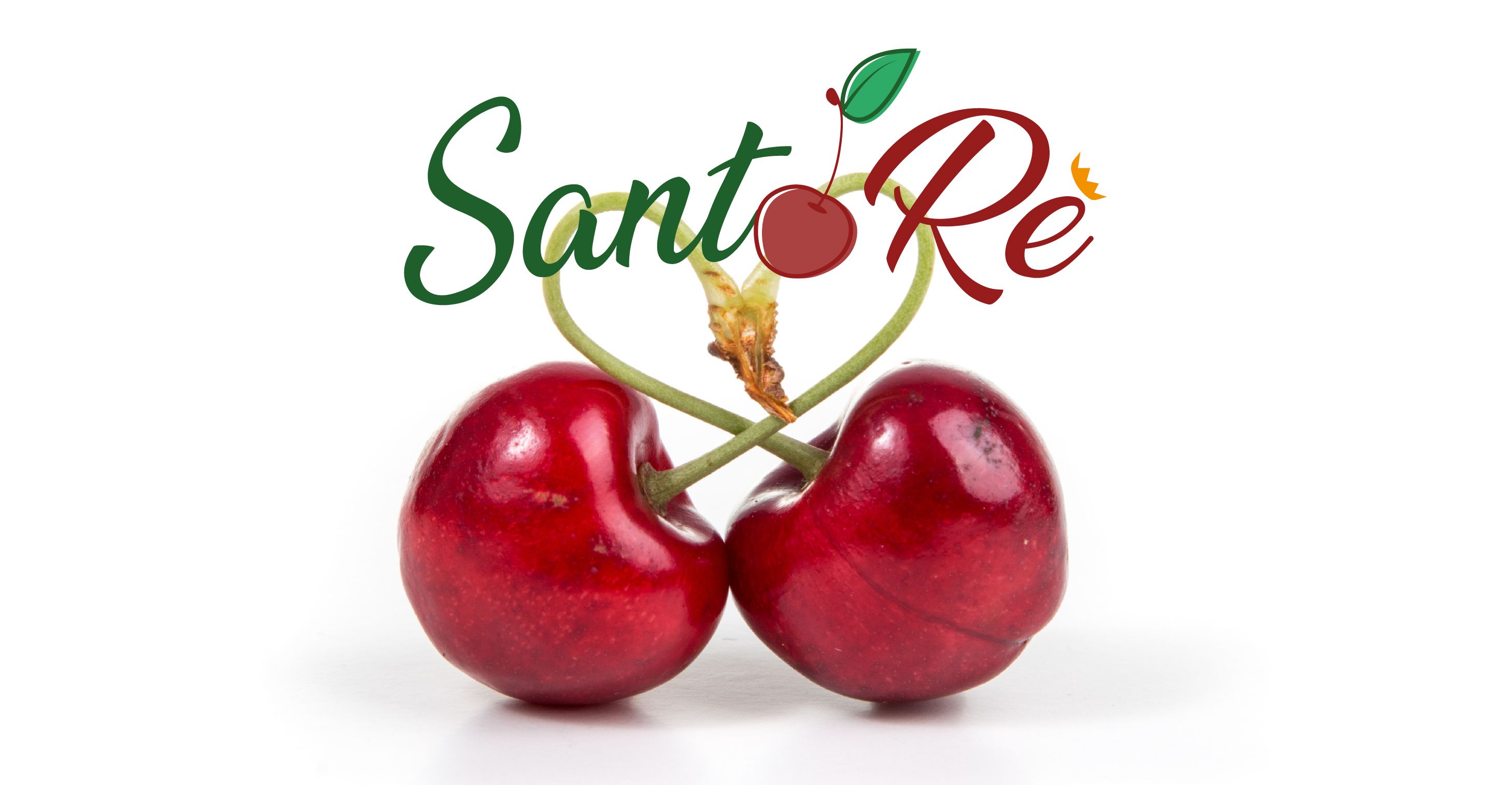 santore_logo1